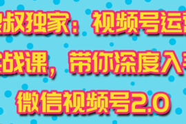 （1521期）视频号运营实战课2.0，目前市面上最新最全玩法，快速吸粉吸金（10节视频）