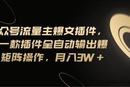 （11430期）Ai公众号流量主爆文插件，只需一款插件全自动输出爆文，矩阵操作，月入3w+