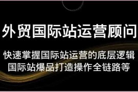 外贸国际站运营顾问-快速掌握国际站运营的底层逻辑，国际站爆品打造操作全链路等