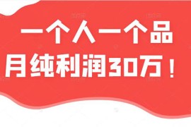 （2343期）某公众号付费文章：一个人一个品月纯利润30万的蓝海电商经典案例！