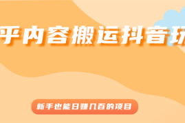 （2503期）知乎内容搬运抖音玩法，新手也能日赚几百的项目