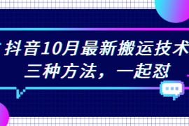 （2031期）抖音10月新最搬运技术，三种方法，起一怼【视频课程】