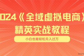 （11484期）月入五位数 干就完了 适合小白的全域虚拟电商项目（无水印教程+交付手册）