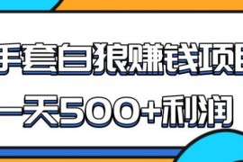 （1691期）某团队内部实战赚钱项目，一天500+利润，人人可做，超级轻松