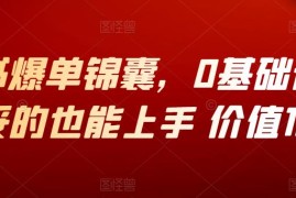 小红书爆单锦囊，0基础普通人妥妥的也能上手 价值1980