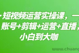 （3100期）短视频运营实操课，一部手机，账号+剪辑+运营+直播，从小白到大咖