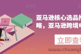 亚马逊核心选品推广新攻略，亚马逊跨境电商教程