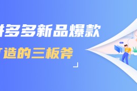 （1689期）拼多多新品爆款打造的三板斧，快速提升销量+转化+点击率（视频课程）