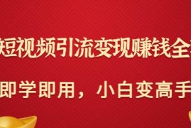 快手短视频引流变现赚钱全攻略：即学即用，小白变高手（价值980元）