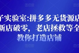 野路子实验室:拼多多无货源店群项目，新店破零，老店拯救等全方位教你打造店铺