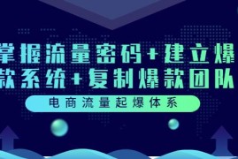 电商流量起爆体系：掌握流量密码+建立爆款系统+复制爆款团队（价值599）