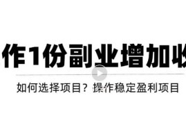 新手如何通过操作副业增加收入，从项目选择到玩法分享！【视频教程】