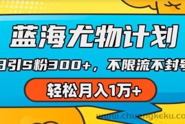 蓝海尤物计划，AI重绘美女视频，日引s粉300+，不限流不封号，轻松月入1w+【揭秘】