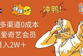 （11105期）2024多渠道0成本售卖爱奇艺会员月入2W＋