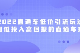 （2415期）2022直通车低价引流玩法，教大家如何低投入高回报的直通车玩法