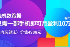 （2374期）挂机跑数据，只需一部手机即可月盈利10万＋（内部玩法）