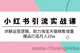 （12809期）小红书引流实战课：详解运营逻辑，助力淘宝天猫销售增量，爆品打造月入10w