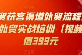 Mia外贸获客渠道外贸流程外贸英语洽谈外贸实战培训（视频课）价值399元