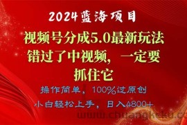 （11032期）2024蓝海项目，视频号分成计划5.0最新玩法，错过了中视频，一定要抓住…