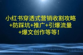 （2907期）小红书穿透式营销收割攻略+防踩坑+推广+引爆流量+爆文创作等等！