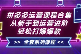 拼多多运营课程合集：从新手到运营进阶，轻松打爆爆款（全套系统课程）