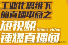 （3042期）工业化思维下的直播电商之短视频锤爆直播间，听话照做执行爆单