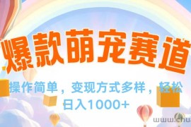 （12473期）视频号爆款赛道，操作简单，变现方式多，轻松日入1000+