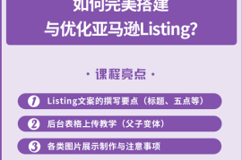 （2442期）完美搭建与优化亚马逊Listing（爆单必修课）