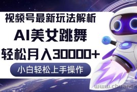 （12485期）视频号最新暴利玩法解析，小白也能轻松月入30000+