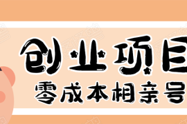 （1655期）史上最强的零成本创业项目年入30W：相亲号，从平台搭建到引流到后期开单