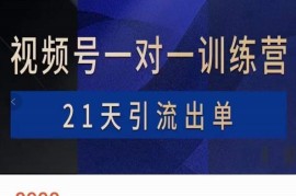 AlanX花爷·视频号引流出单训练营，视频号引流出单必杀技