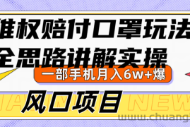 维权赔付口罩玩法，小白也能月入6w+，风口项目实操