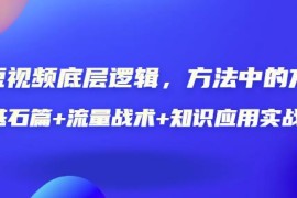 短视频底层逻辑，方法中的方法，基石篇+流量战术+知识应用实战-价值389元