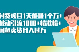 （2251期）知识付费项目1天能赚1个万+一天被动引流1000+精准粉+小白闲鱼卖货月入过万