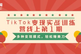 （1653期）龟课·TikTok变现实战训练营线上第1期，多种变现模式，轻松赚美刀