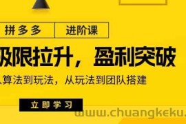 拼多多进阶课：极限拉升/盈利突破：从算法到玩法 从玩法到团队搭建（18节）