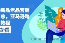 亚马逊新品老品营销打法汇总，亚马逊跨境电商教程