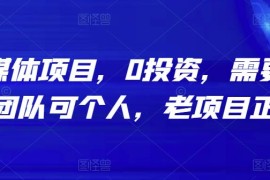 原创自媒体项目，0投资，需要动手操作，可团队可个人，老项目正规长久