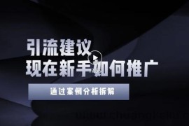 （3039期）今年新手如何精准引流？给你4点实操建议让你学会正确引流（附案例）无水印