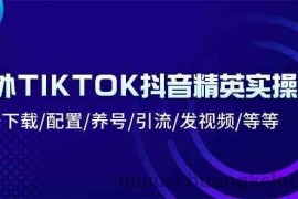 海外TIKTOK抖音精英实操班：注册下载/配置/养号/引流/发视频/等等