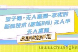 宝子哥·无人直播-非实时防风技术(更新9月)无人半无人直播