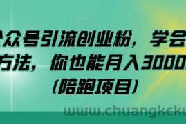 公众号引流创业粉，学会这个方法，你也能月入30000+ (陪跑项目)