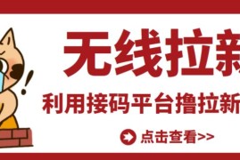 最新接码无限拉新项目，利用接码平台赚拉新平台差价，轻松日赚500+