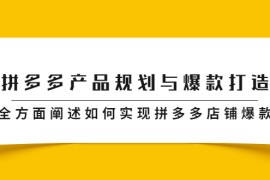 （2181期）拼多多产品规划与爆款打造，全方面阐述如何实现拼多多店铺爆款