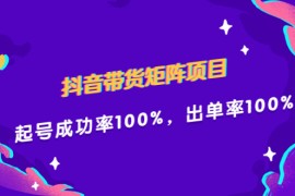 （2249期）抖音带货矩阵项目，起号成功率100%，出单率100%！