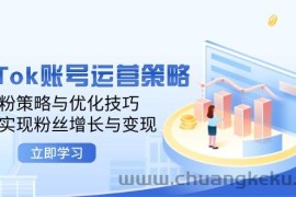 （12614期）TikTok账号运营策略：涨粉策略与优化技巧，快速实现粉丝增长与变现