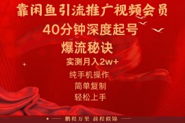 （10895期）闲鱼暴力引流推广视频会员，能做到日入2W+，操作简单