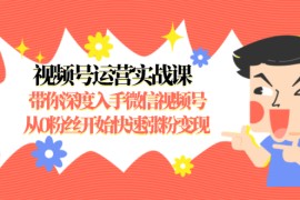 （1477期）视频号运营实战课，带你深度入手微信视频号1.0，从0粉丝开始快速涨粉变现