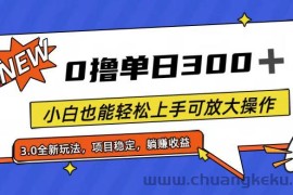 （11490期）全程0撸，单日300+，小白也能轻松上手可放大操作