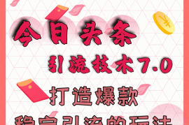 （1637期）今日头条引流技术7.0，打造爆款稳定引流的玩法，收入每月轻松过万(无水印)